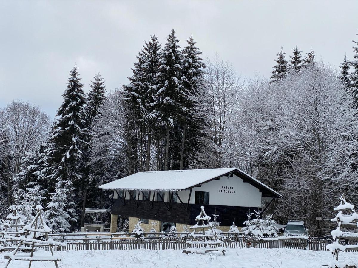 Cabana Haiducului Teşila Esterno foto