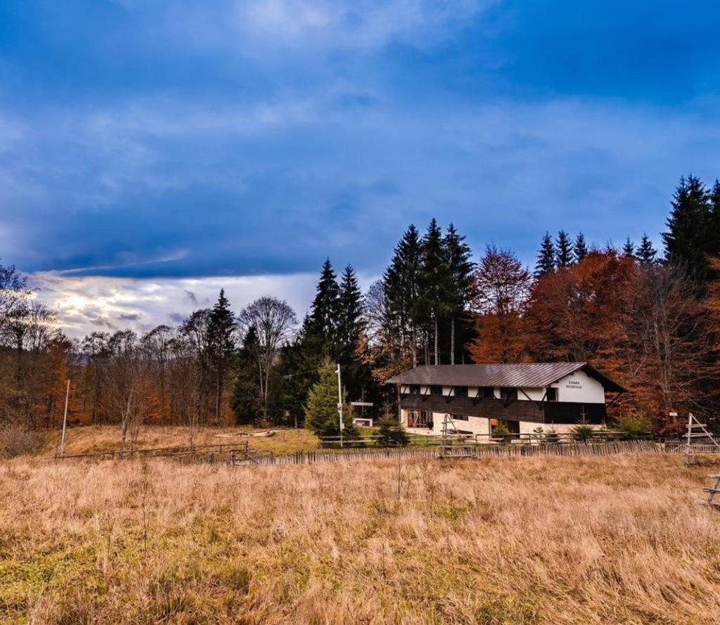 Cabana Haiducului Teşila Esterno foto